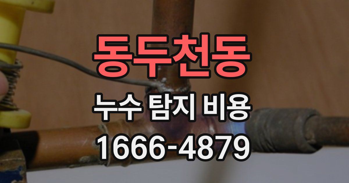 동두천동 누수 탐지 비용