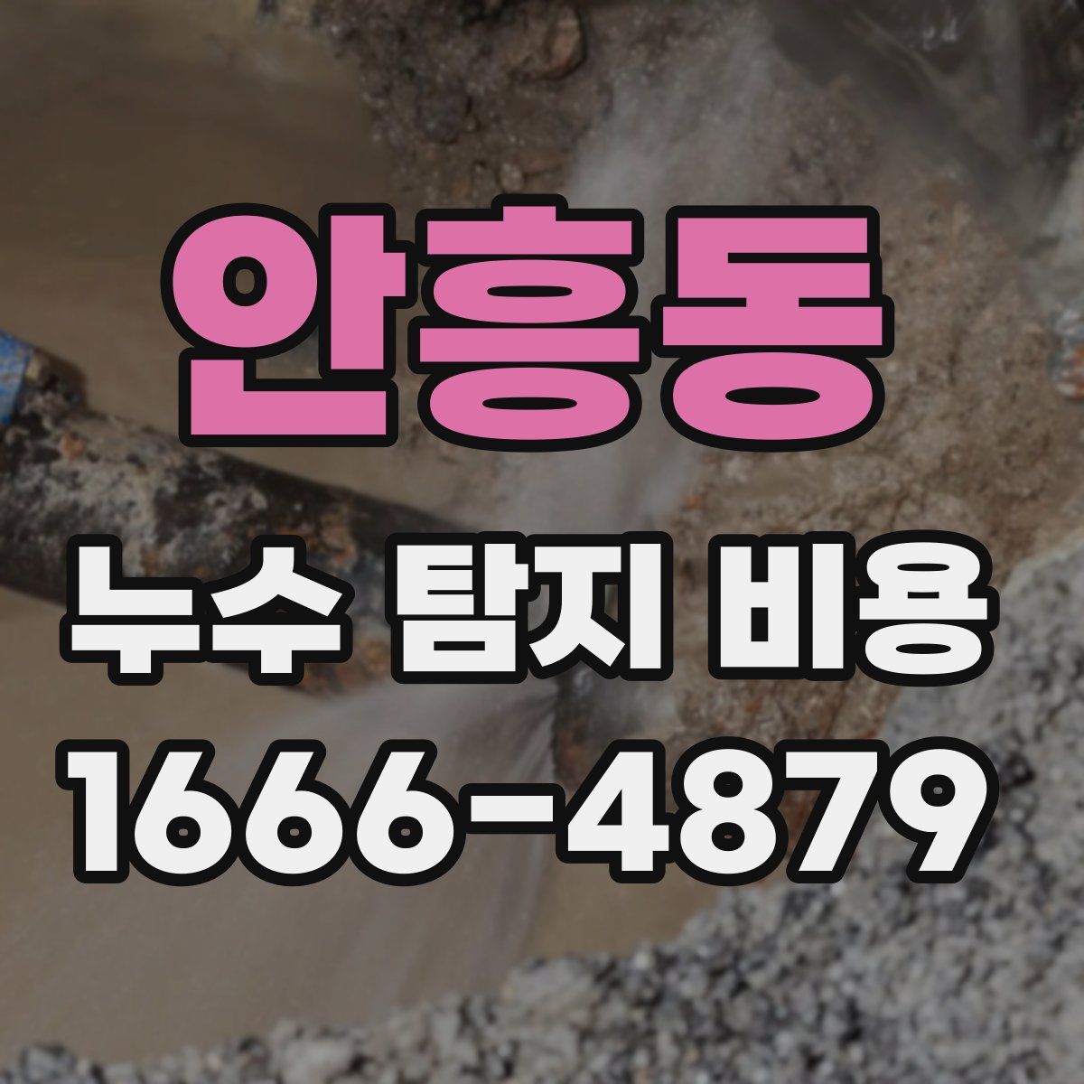 안흥동 누수 탐지 비용
