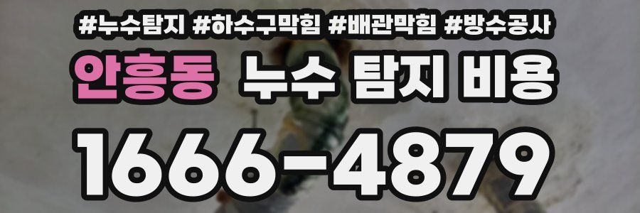 안흥동 누수 탐지 비용
