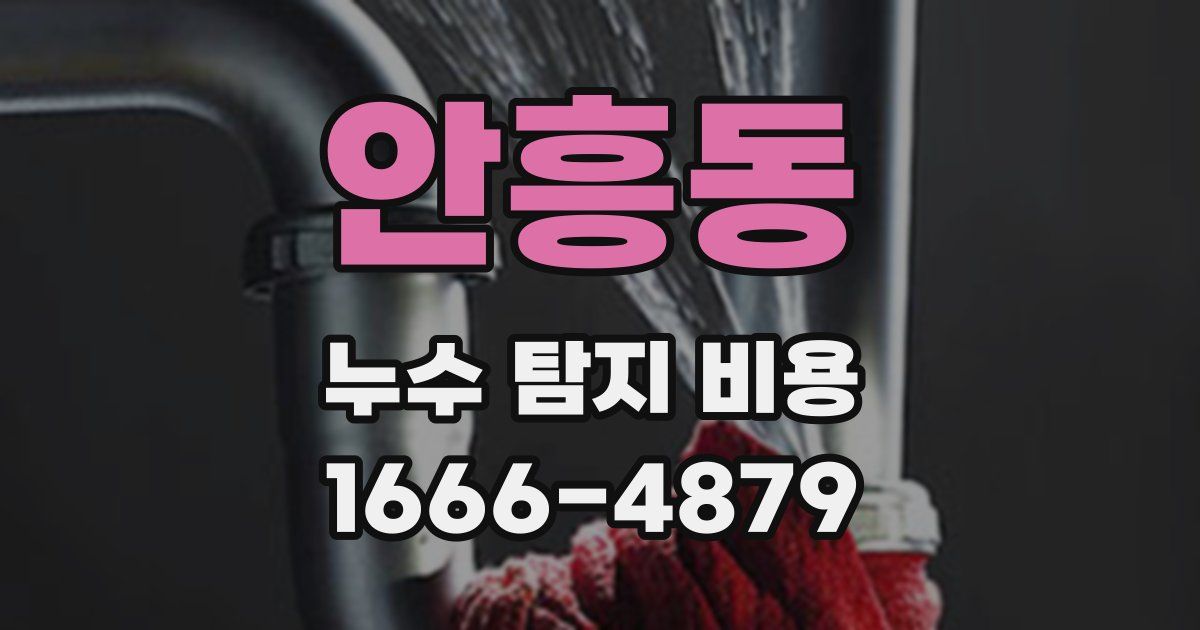 안흥동 누수 탐지 비용