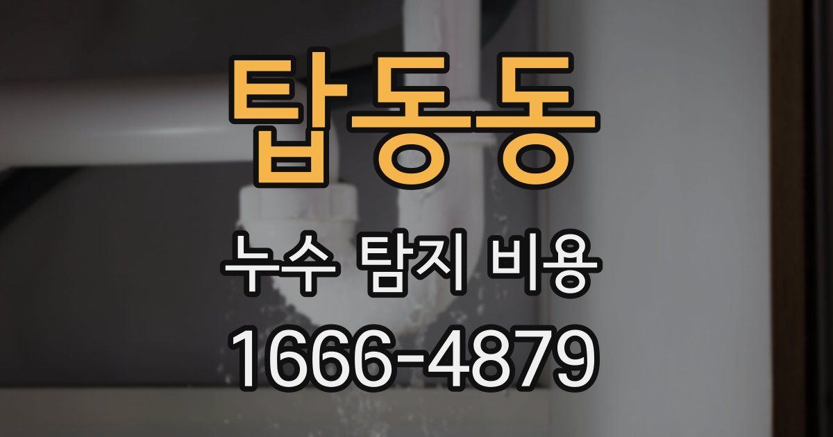 탑동동 누수 탐지 비용