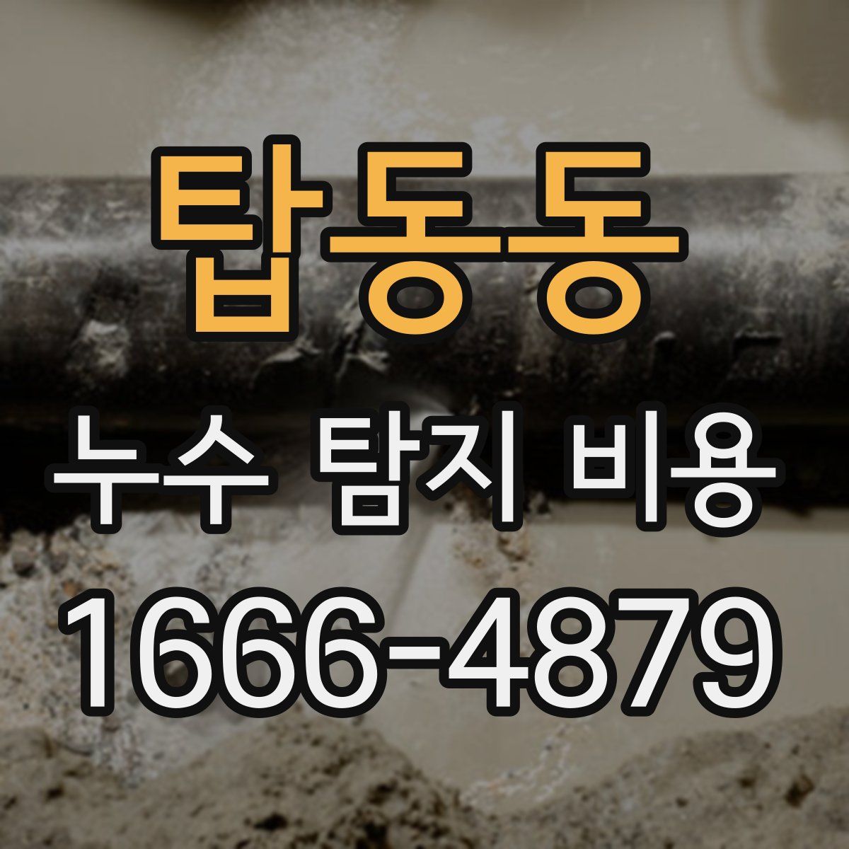탑동동 누수 탐지 비용