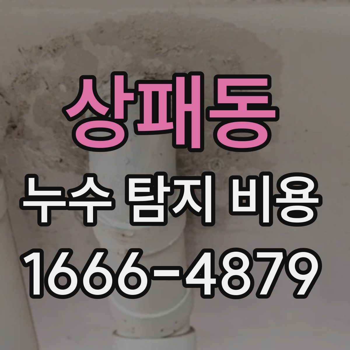 상패동 누수 탐지 비용