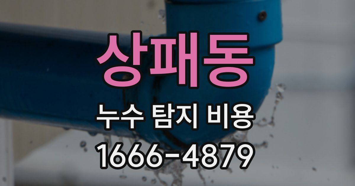 상패동 누수 탐지 비용