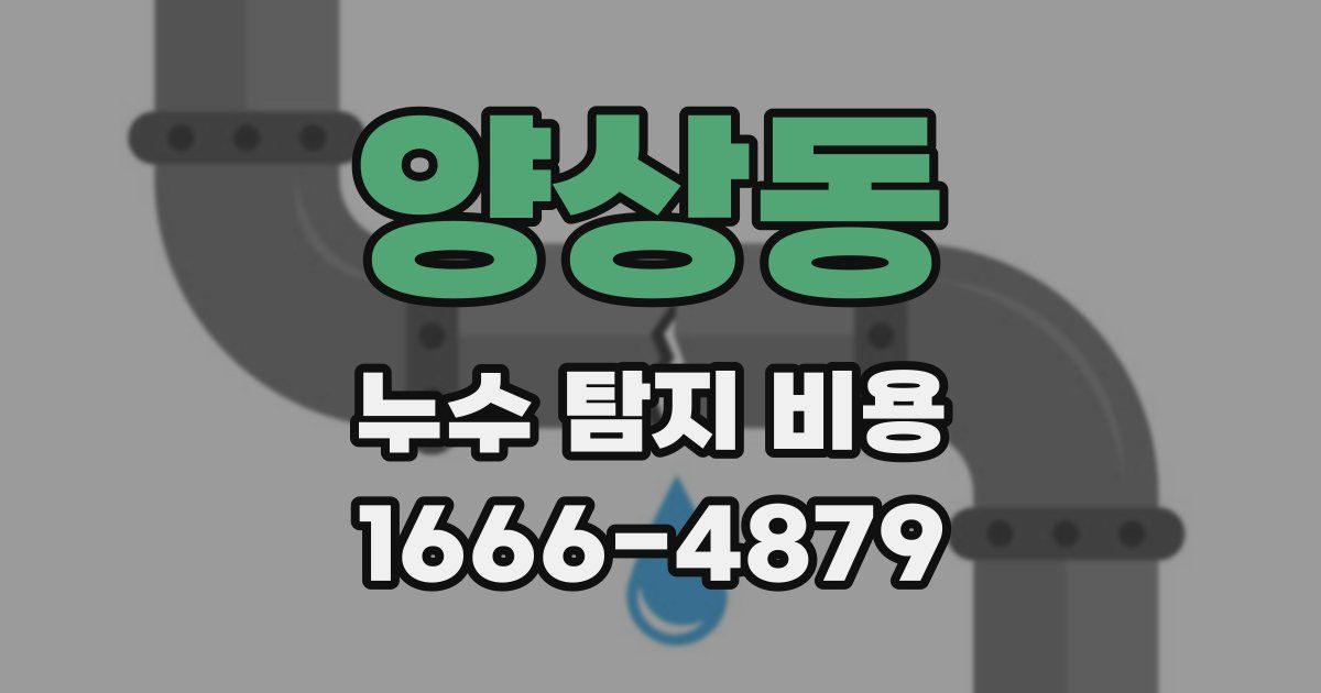 양상동 누수 탐지 비용