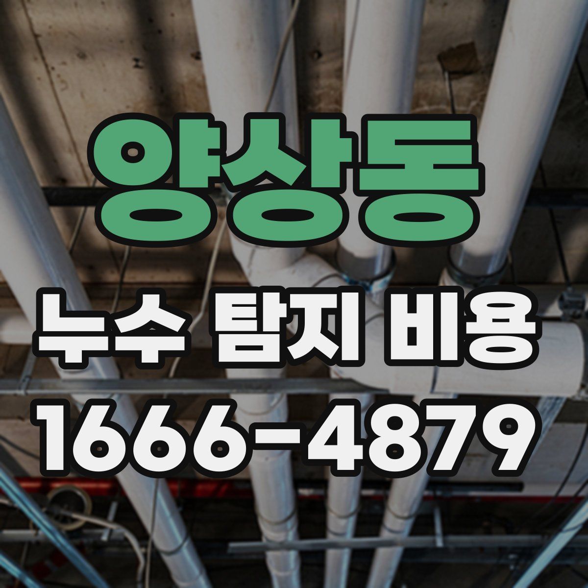 양상동 누수 탐지 비용
