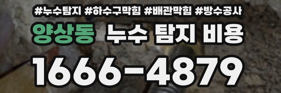 양상동 누수 탐지 비용