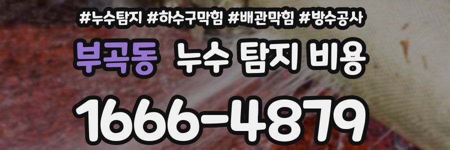 부곡동 누수 탐지 비용