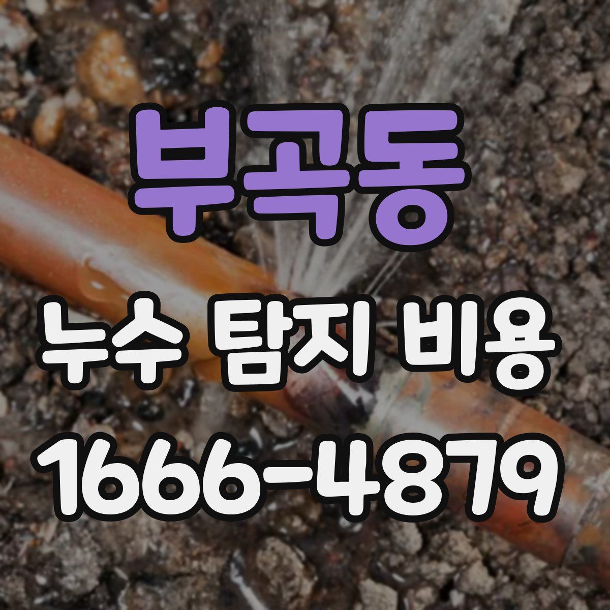 부곡동 누수 탐지 비용