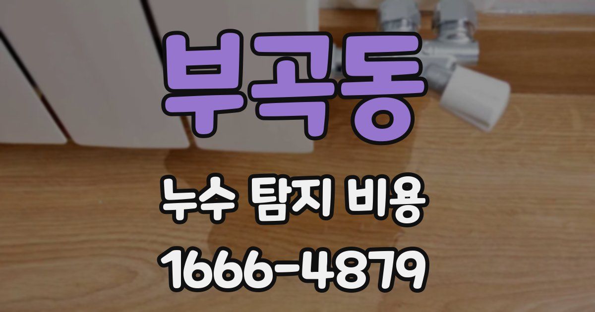 부곡동 누수 탐지 비용
