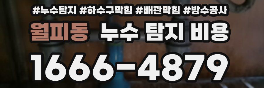월피동 누수 탐지 비용
