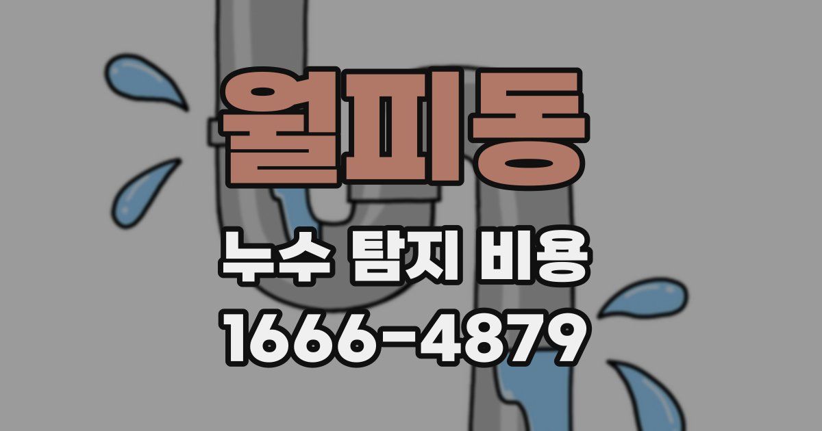월피동 누수 탐지 비용