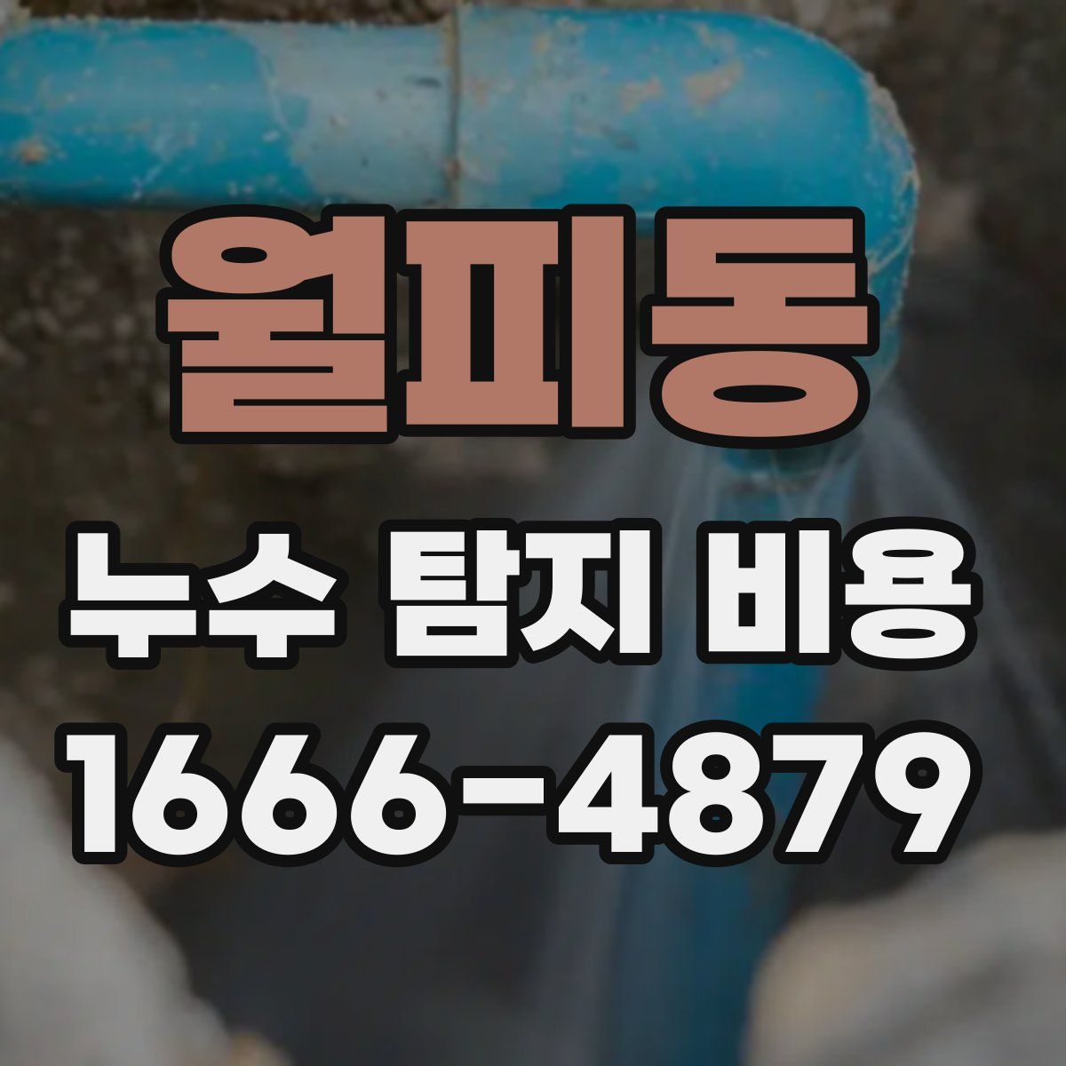 월피동 누수 탐지 비용