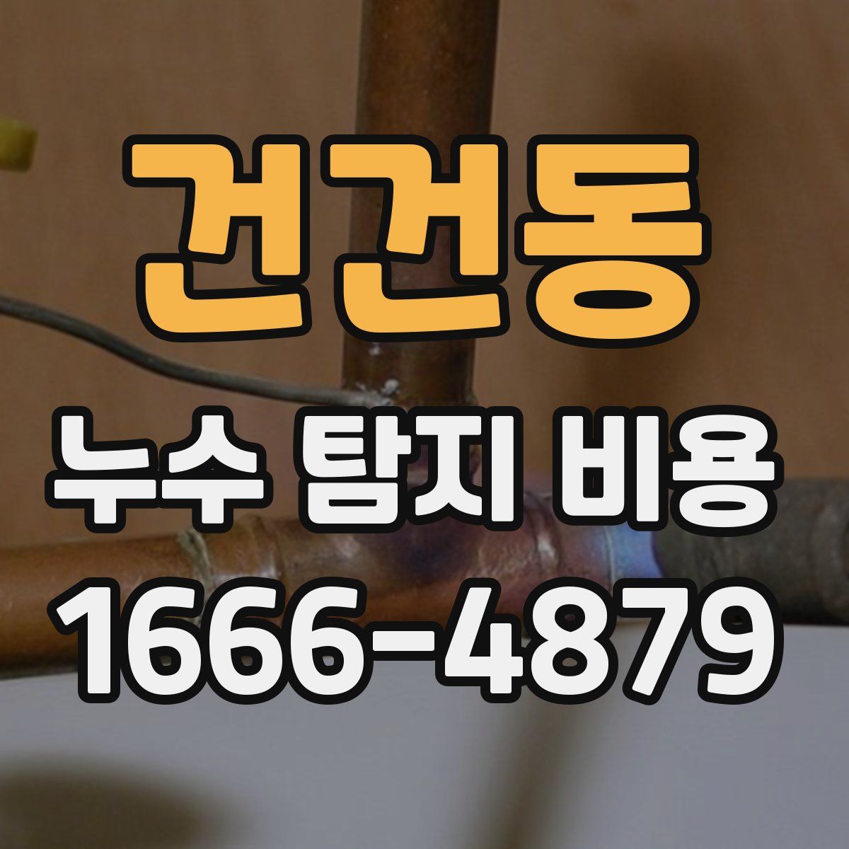 건건동 누수 탐지 비용