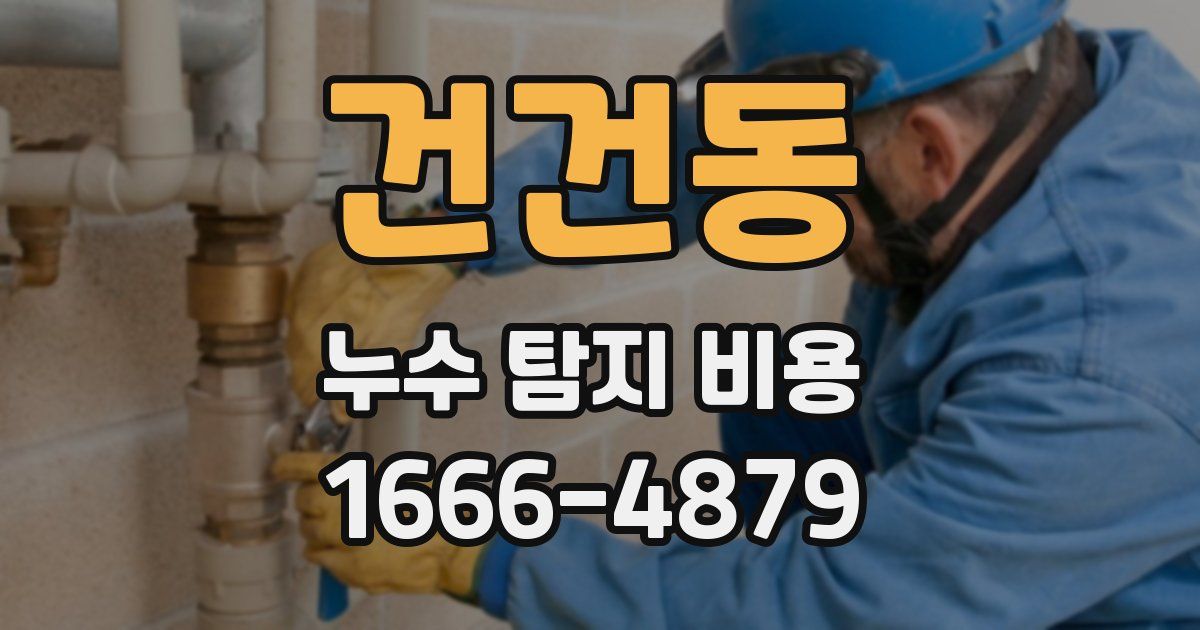 건건동 누수 탐지 비용