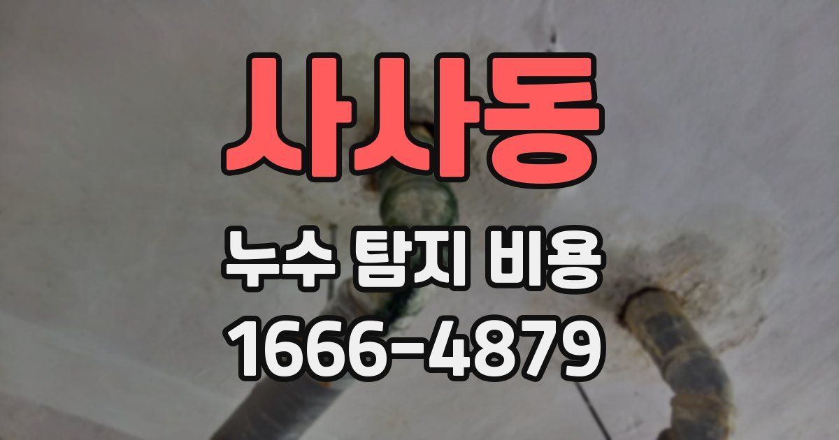 사사동 누수 탐지 비용