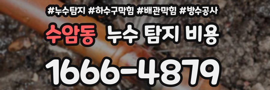 수암동 누수 탐지 비용