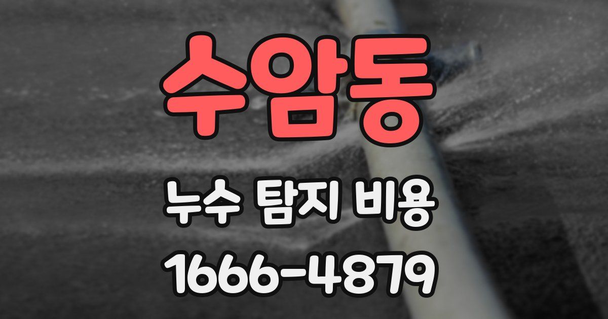 수암동 누수 탐지 비용