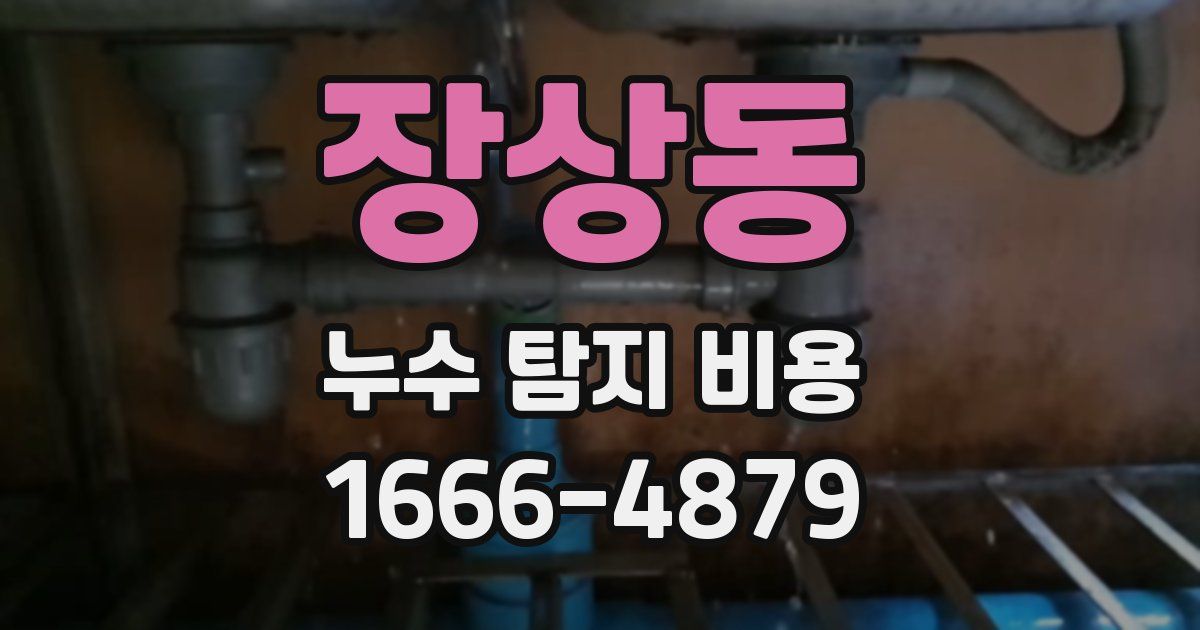 장상동 누수 탐지 비용