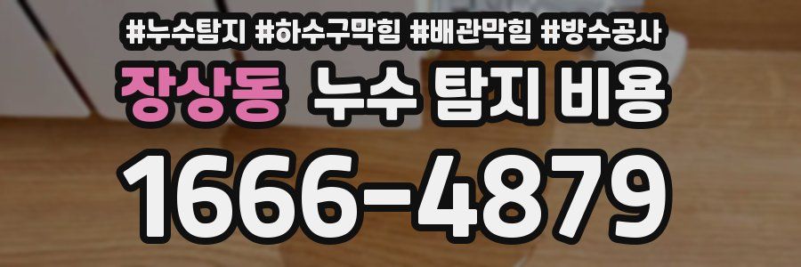 장상동 누수 탐지 비용