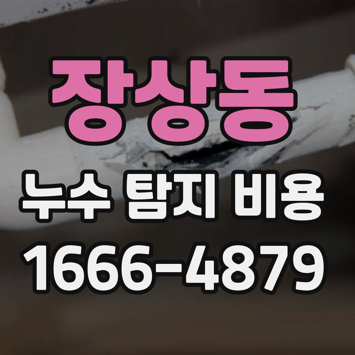 장상동 누수 탐지 비용