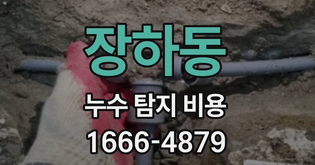장하동 누수 탐지 비용