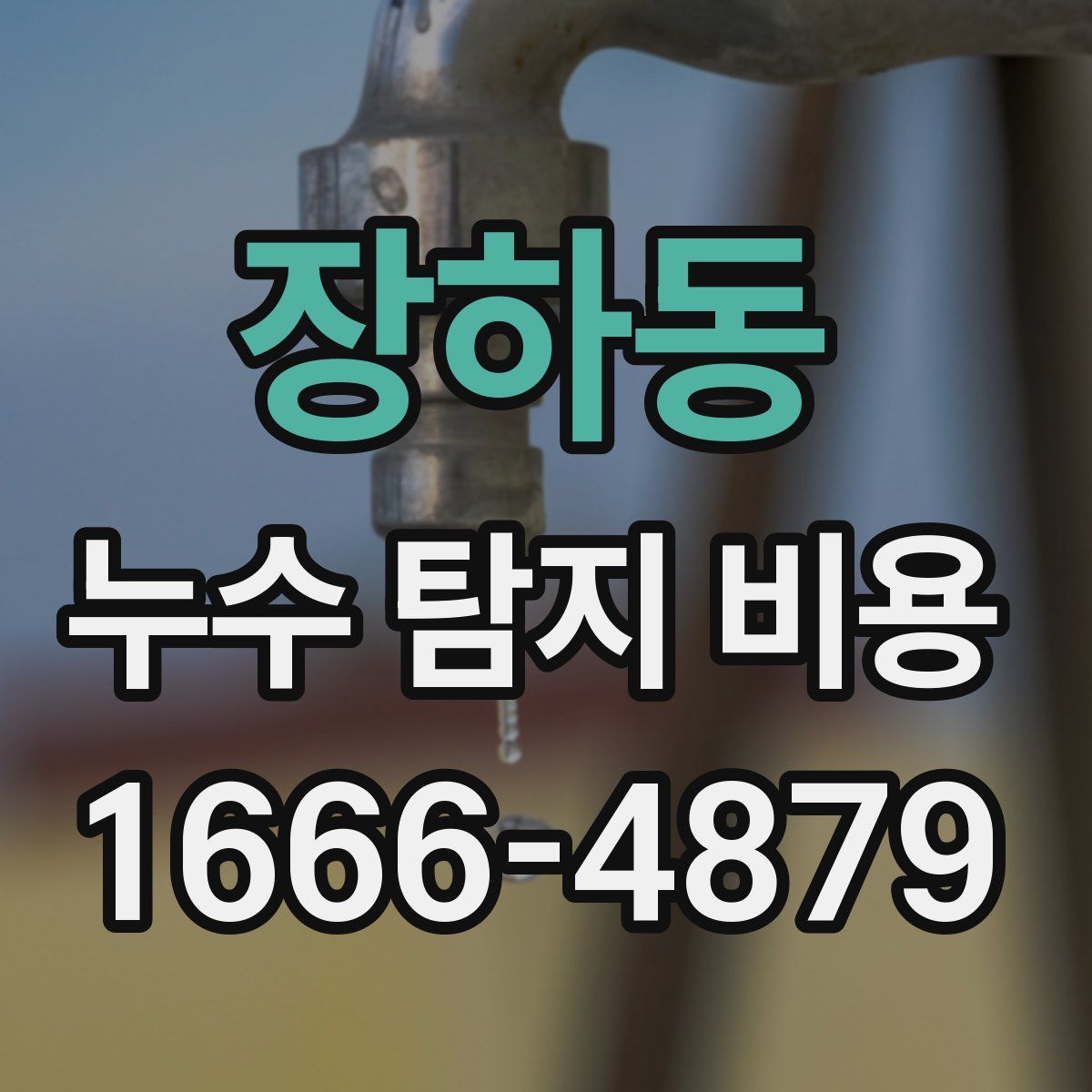 장하동 누수 탐지 비용