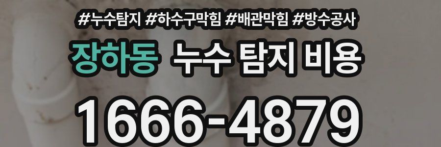 장하동 누수 탐지 비용