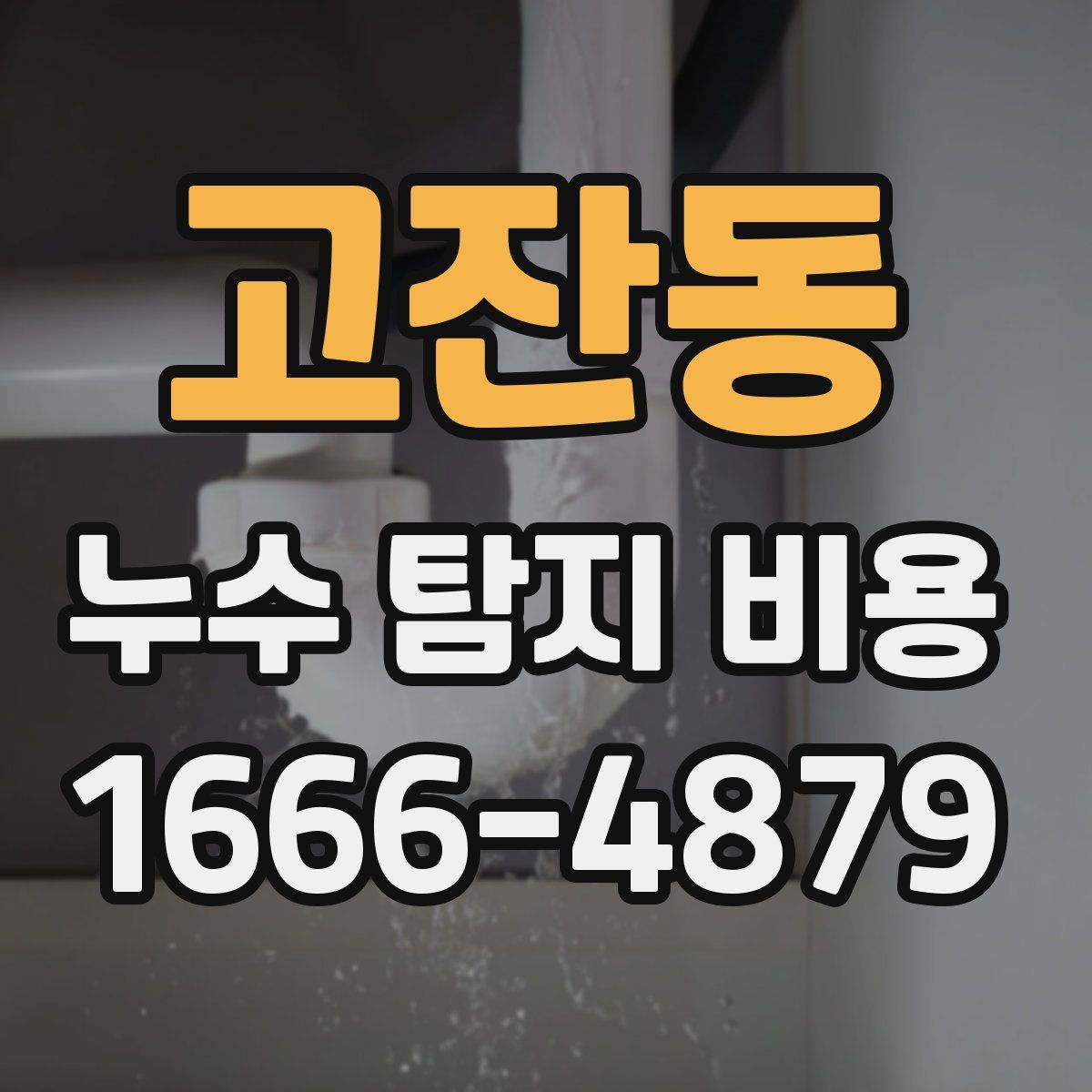 고잔동 누수 탐지 비용