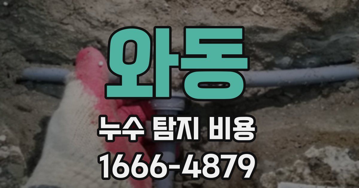 와동 누수 탐지 비용
