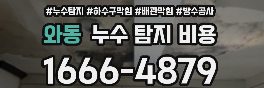 와동 누수 탐지 비용