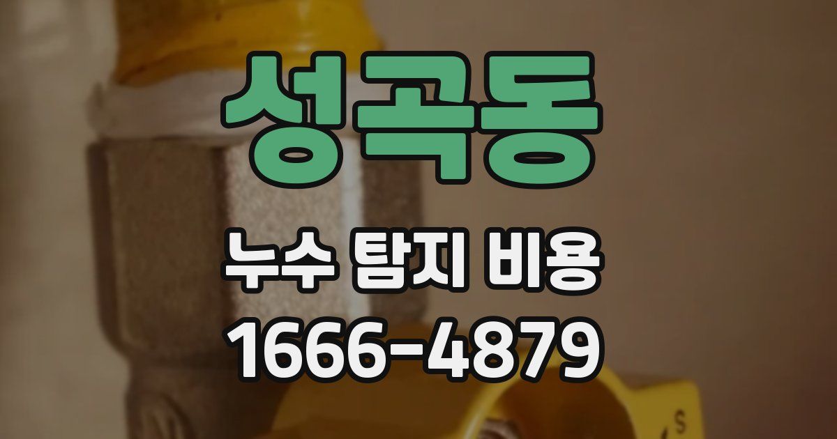 성곡동 누수 탐지 비용