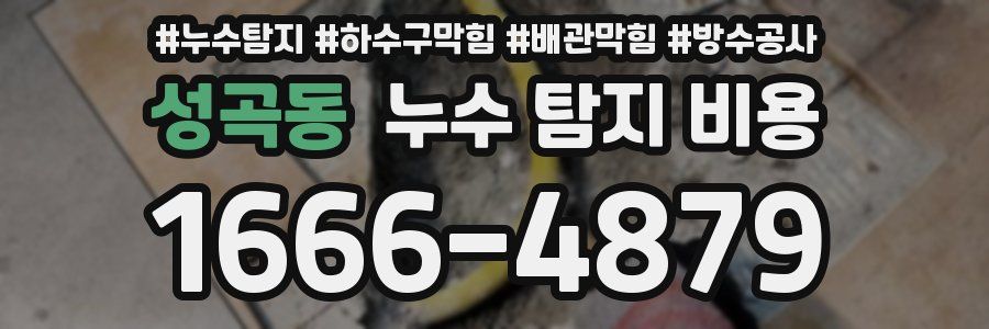 성곡동 누수 탐지 비용