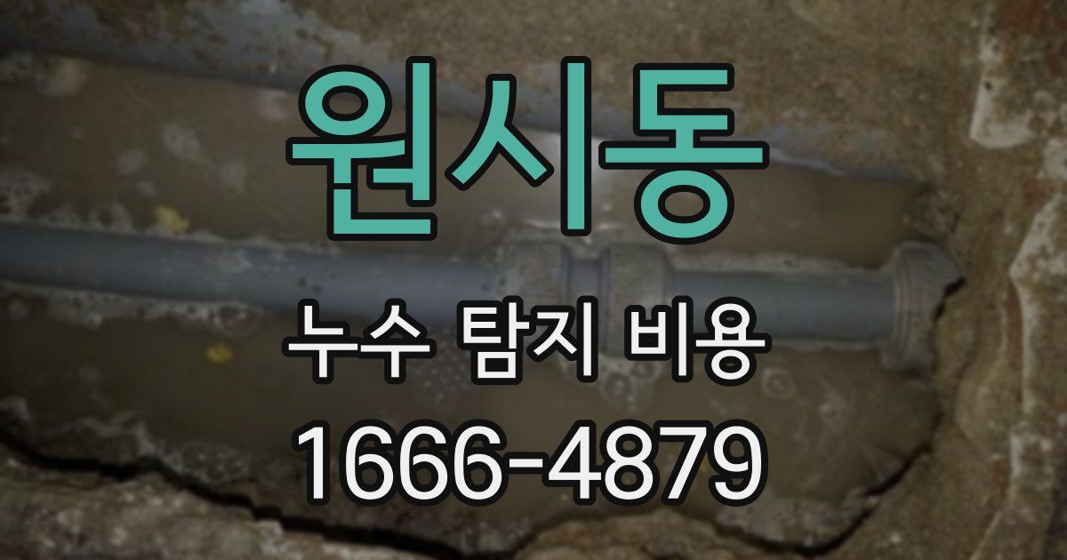 원시동 누수 탐지 비용