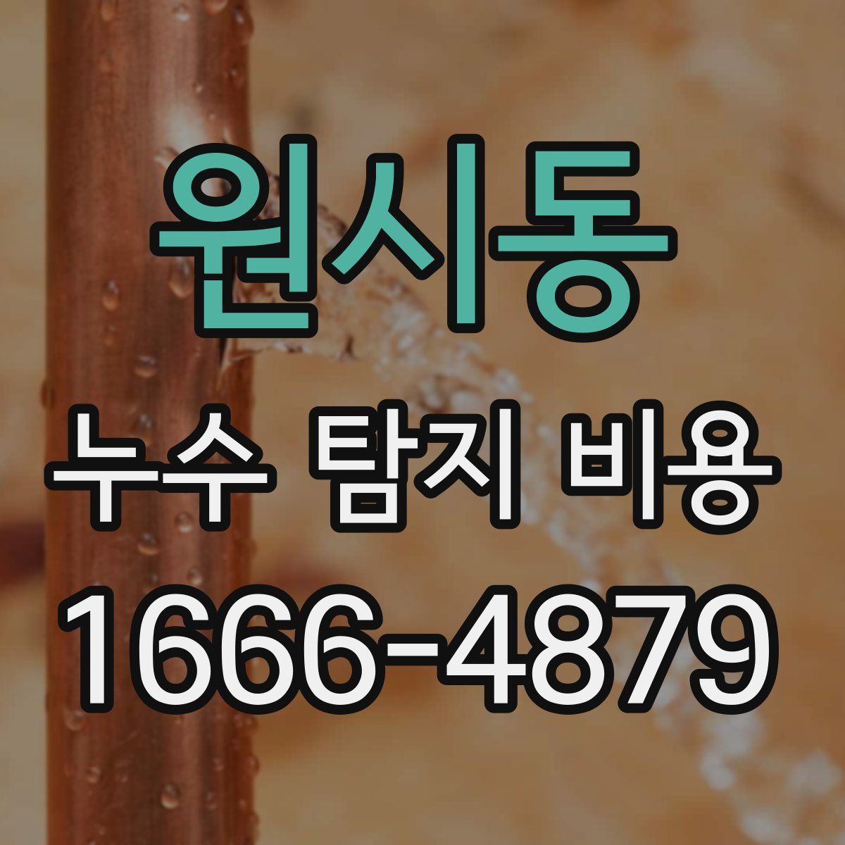 원시동 누수 탐지 비용