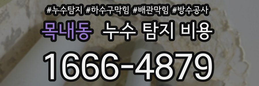 목내동 누수 탐지 비용