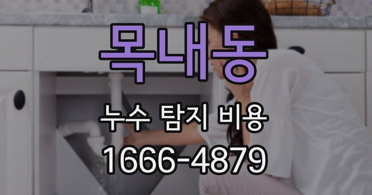 목내동 누수 탐지 비용