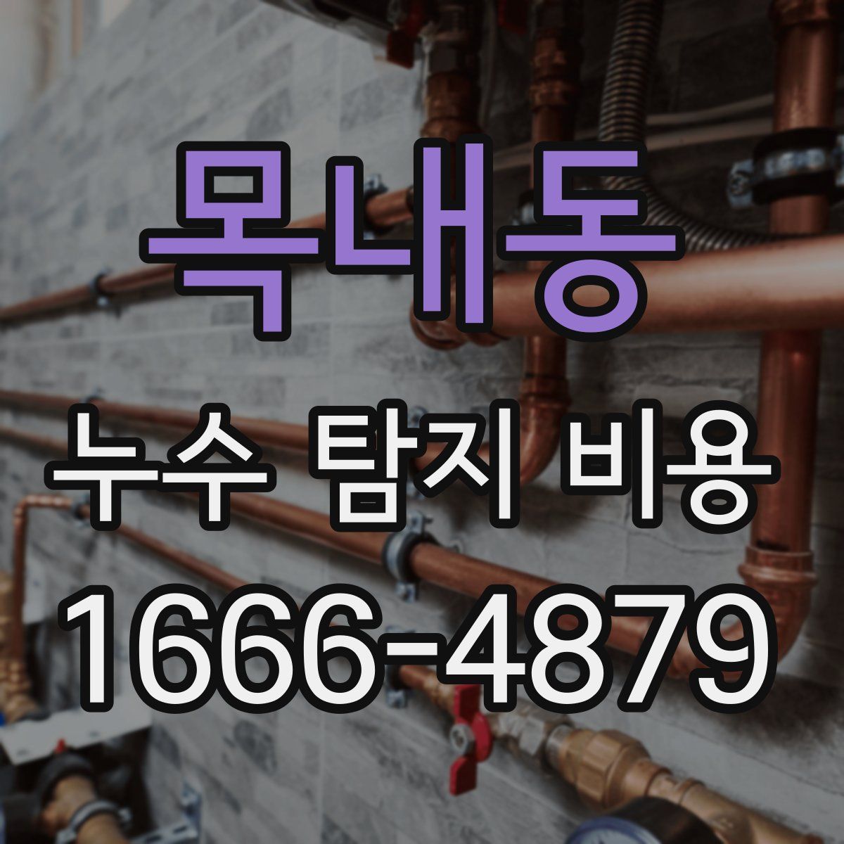 목내동 누수 탐지 비용