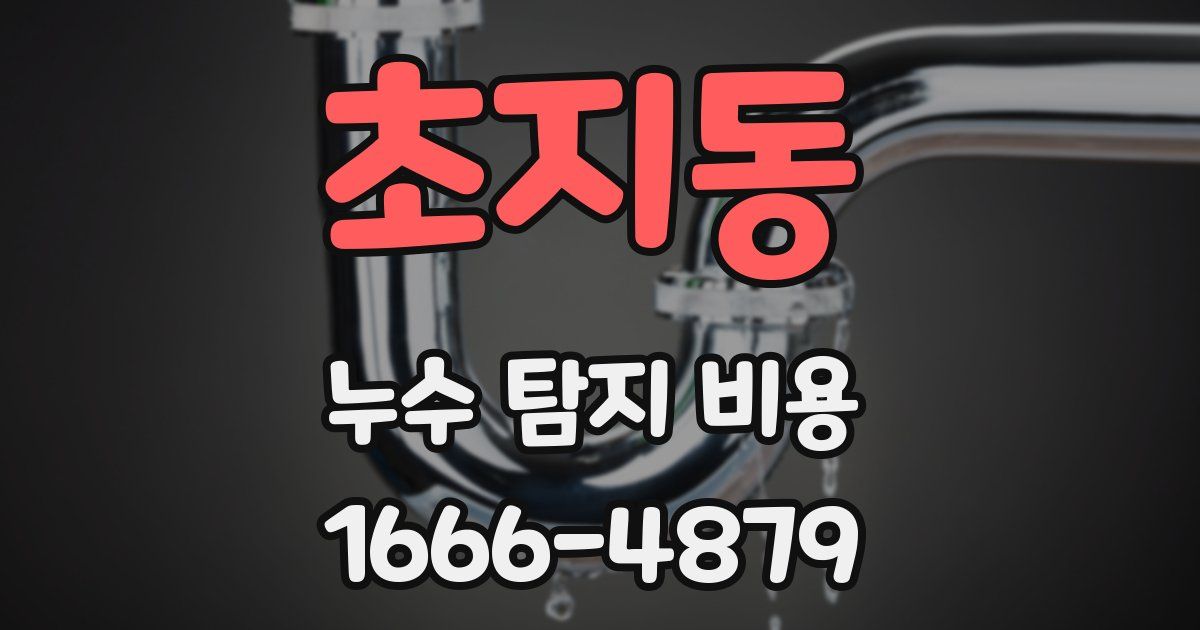 초지동 누수 탐지 비용
