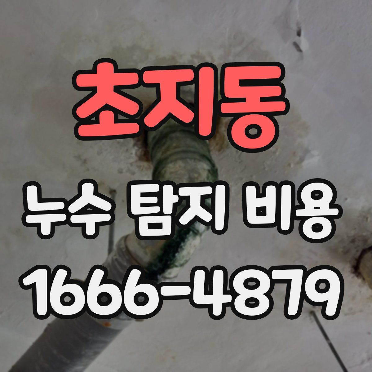 초지동 누수 탐지 비용