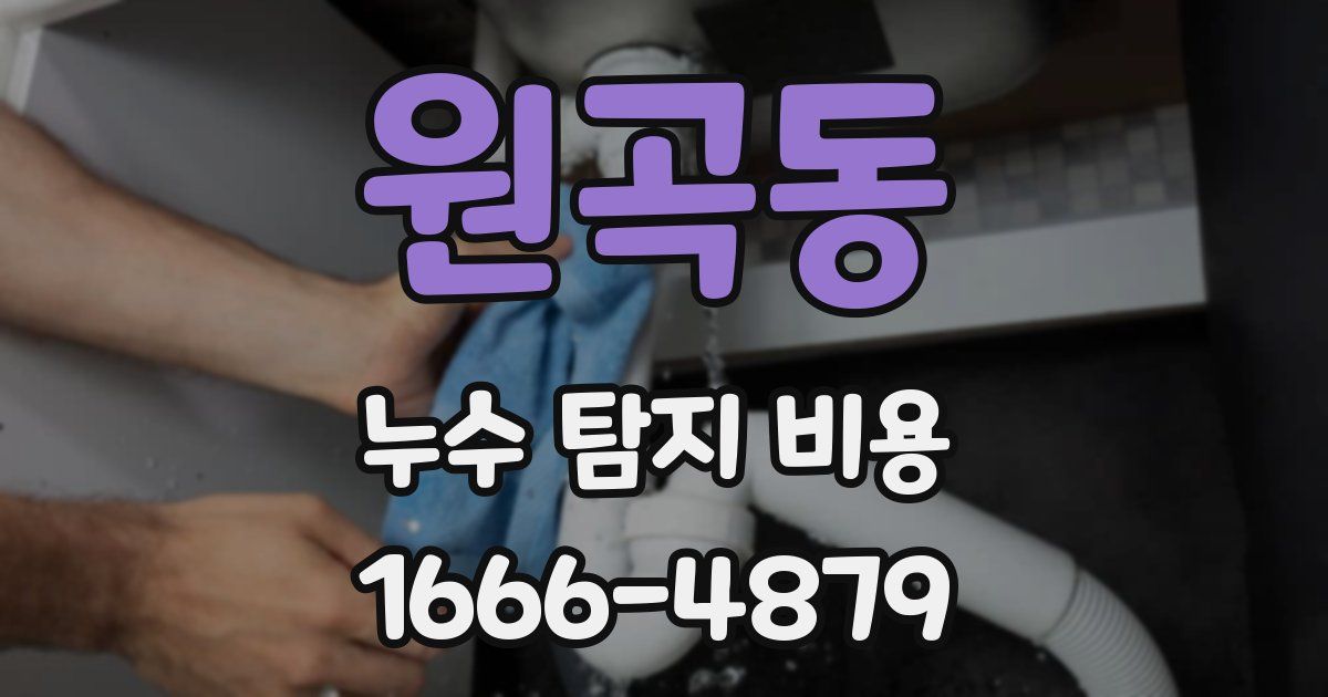 원곡동 누수 탐지 비용