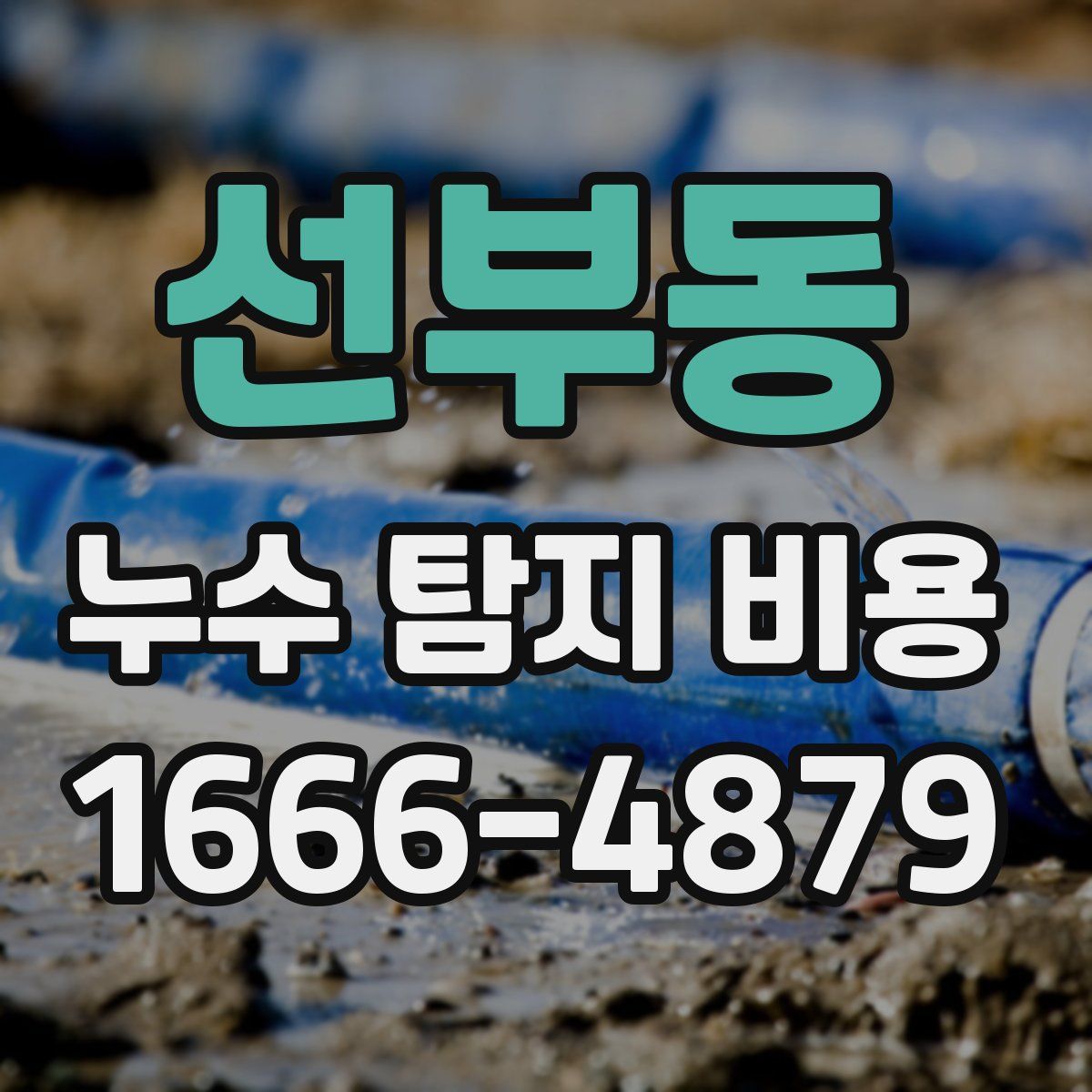 선부동 누수 탐지 비용