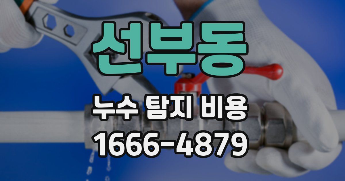 선부동 누수 탐지 비용