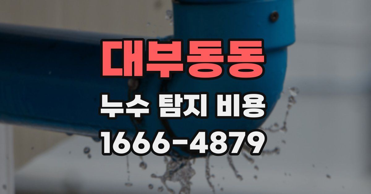 대부동동 누수 탐지 비용