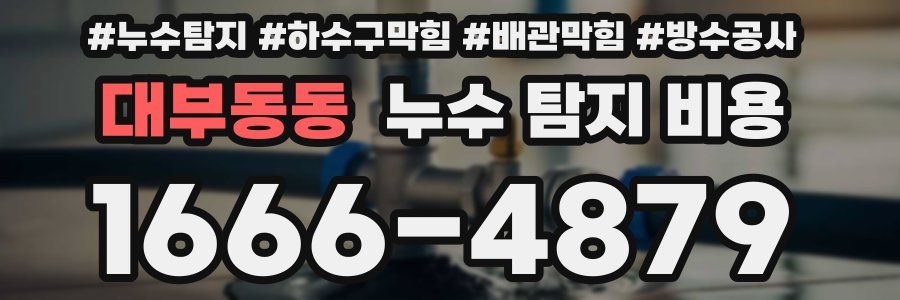 대부동동 누수 탐지 비용