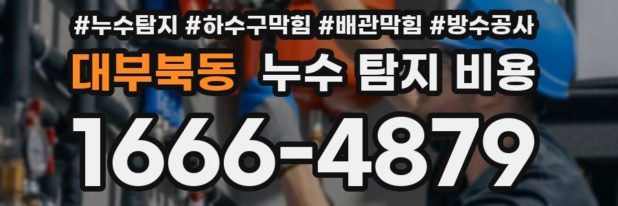 대부북동 누수 탐지 비용