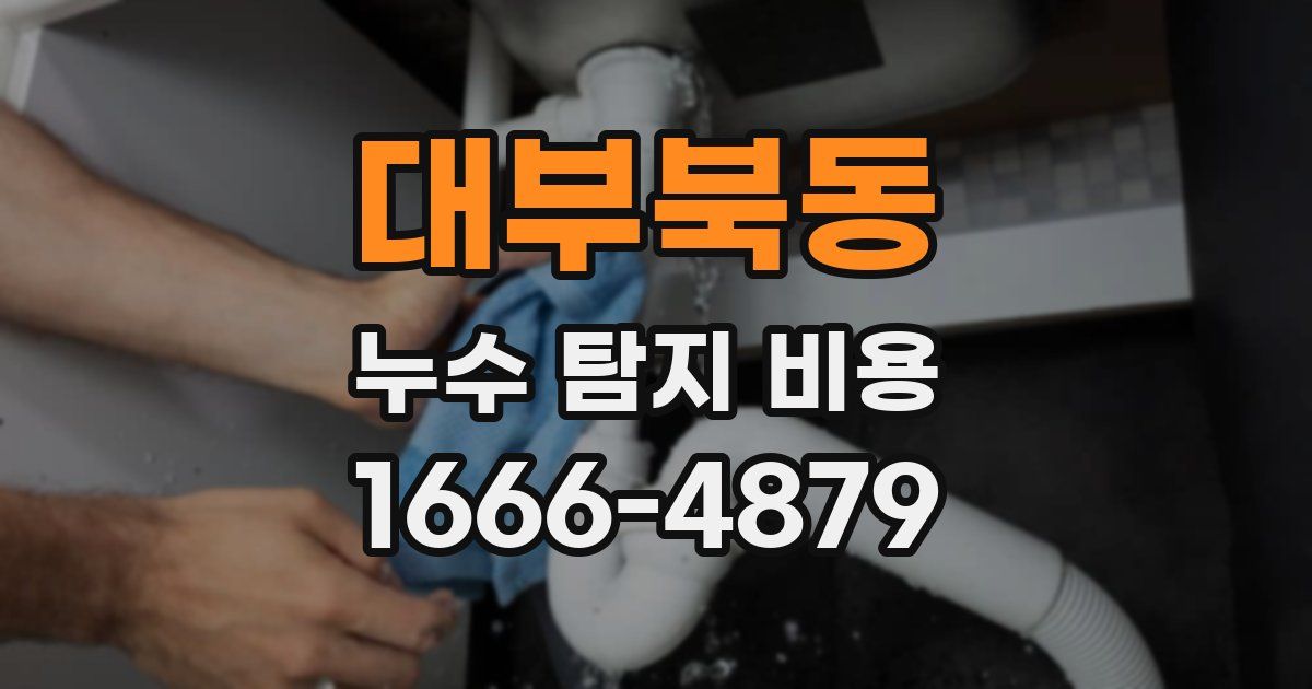 대부북동 누수 탐지 비용