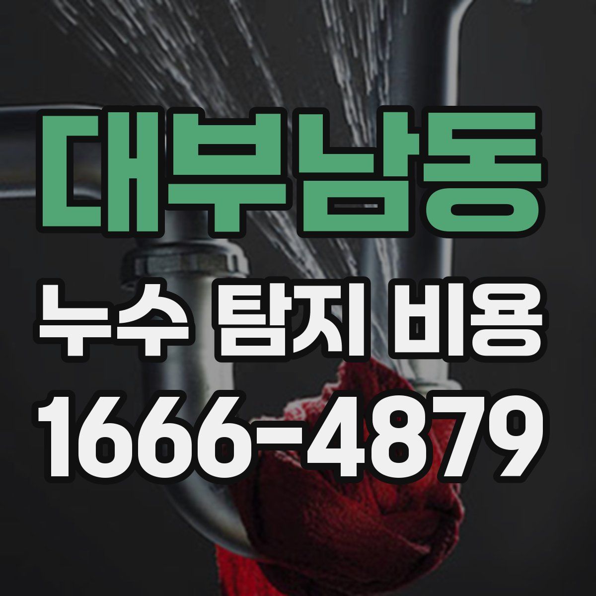 대부남동 누수 탐지 비용