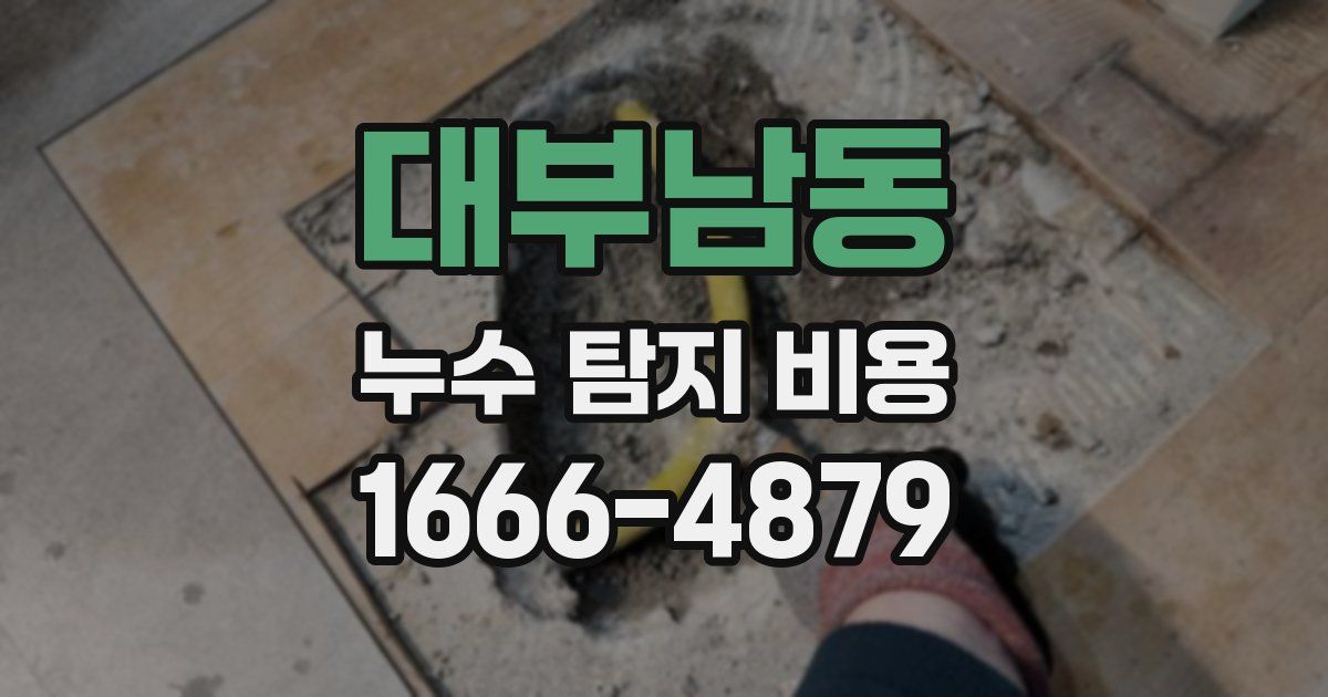 대부남동 누수 탐지 비용