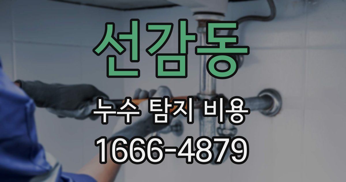 선감동 누수 탐지 비용